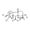 Gibberellic Acid CAS 77-6-5