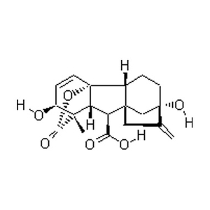 Gibberellic Acid CAS 77-6-5